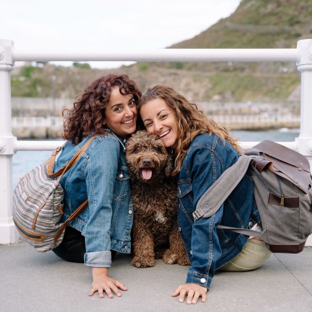 The Ultimate Airline Packing List for Pet Parents